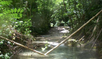 Mayfield Falls from Negril.com